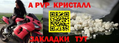 индика Сланцы