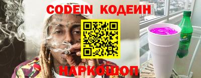 индика Сланцы