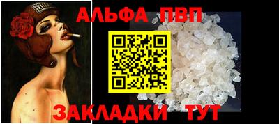 индика Сланцы