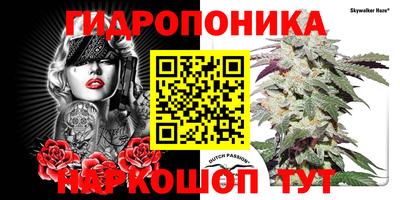 индика Славгород