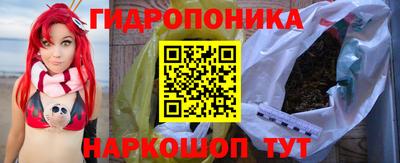 индика Славгород