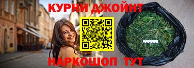 индика Сланцы