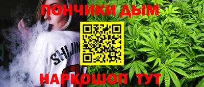 индика Славгород