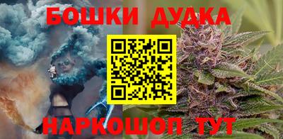 индика Славгород