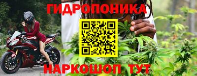 индика Сланцы