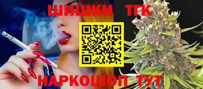 индика Славгород