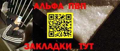 индика Сланцы